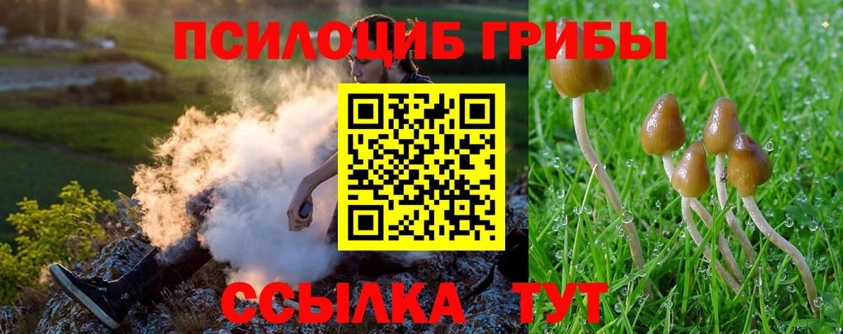 Псилоцибиновые грибы MAGIC MUSHROOMS  Вход с VPN  Псилоцибиновые грибы прущие грибы  Кстово 